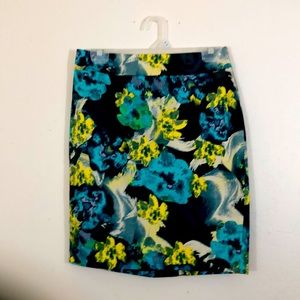 NWOT Ann Taylor Petite Women’s Skirt Size 4.
